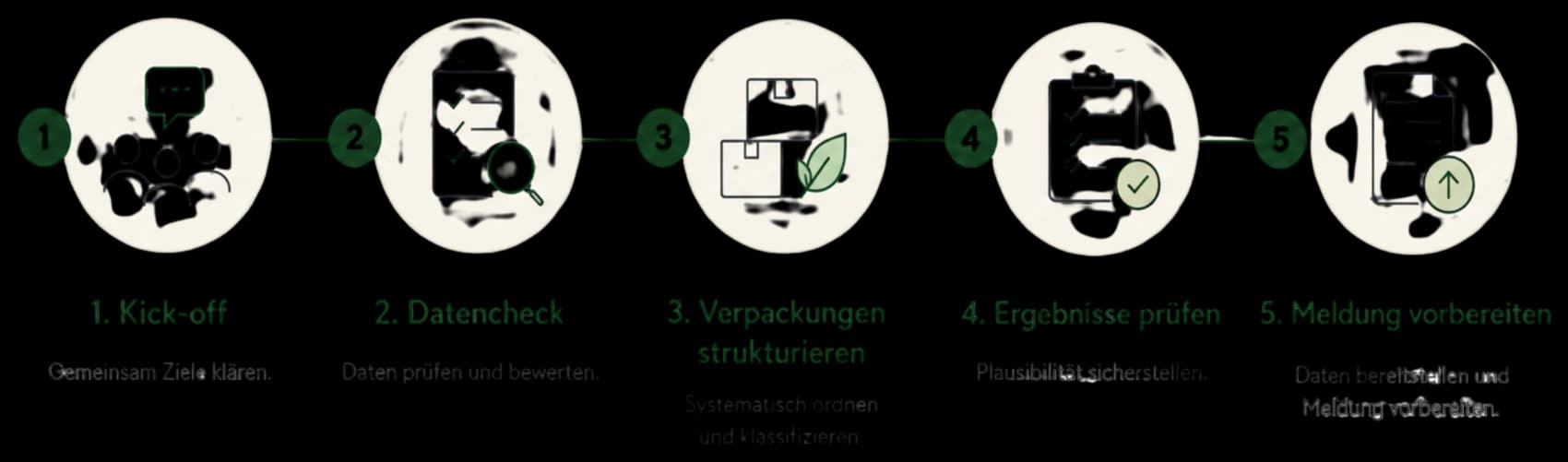 Fünf Schritte eines PPWR-Projekts: Kick-off, Datencheck, Verpackungen strukturieren, Ergebnisse prüfen, Meldung vorbereiten.